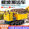 Track Transport vehicle Ivy Transport vehicle Liftable Self unloading Track Transport vehicle Orchard Transport vehicle