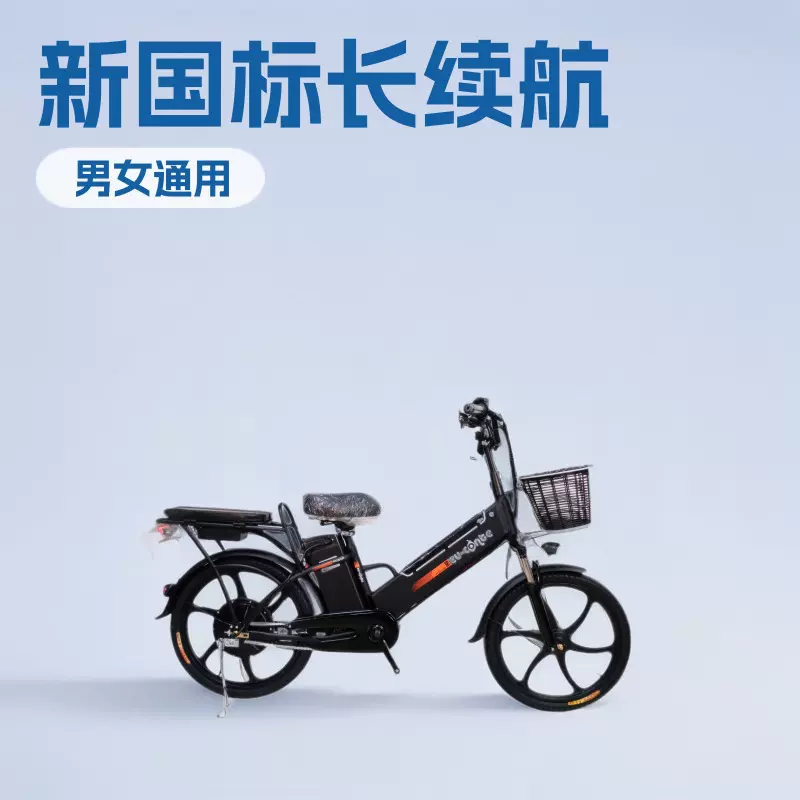 22寸一体轮48V双锂电池长续航电动助力车电动摩托车电动自行车