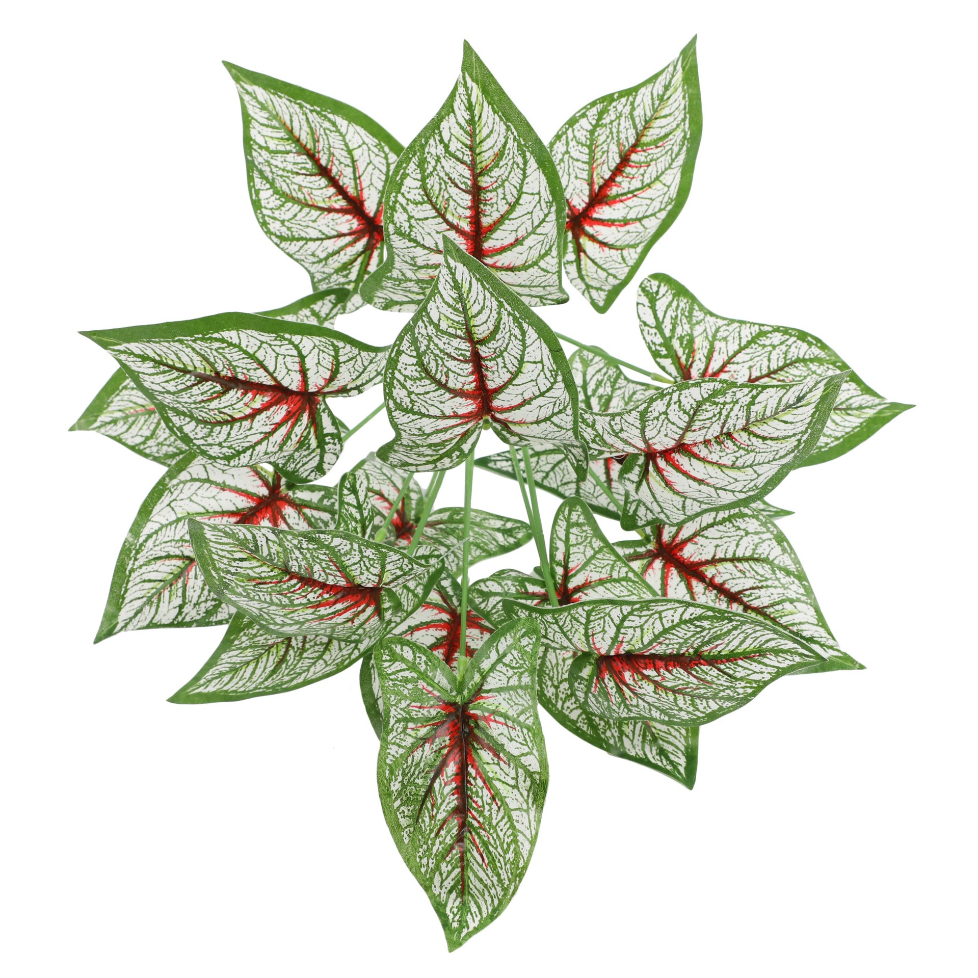 YH192-1#-细节图 (2).jpg