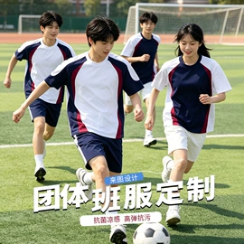 男Polo衫;广告衫T恤;男式卫衣