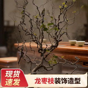 �Ϙ�֦��֦��Ȼ�������֦������֦���޾Ƶ껨ˇ���ͶU���֦�b�