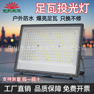Cross-Border Hot-Selling New Ant Model Led Floodlight Outdoor Waterproof Projection Light 10W20W30W High-Brightness Lighting