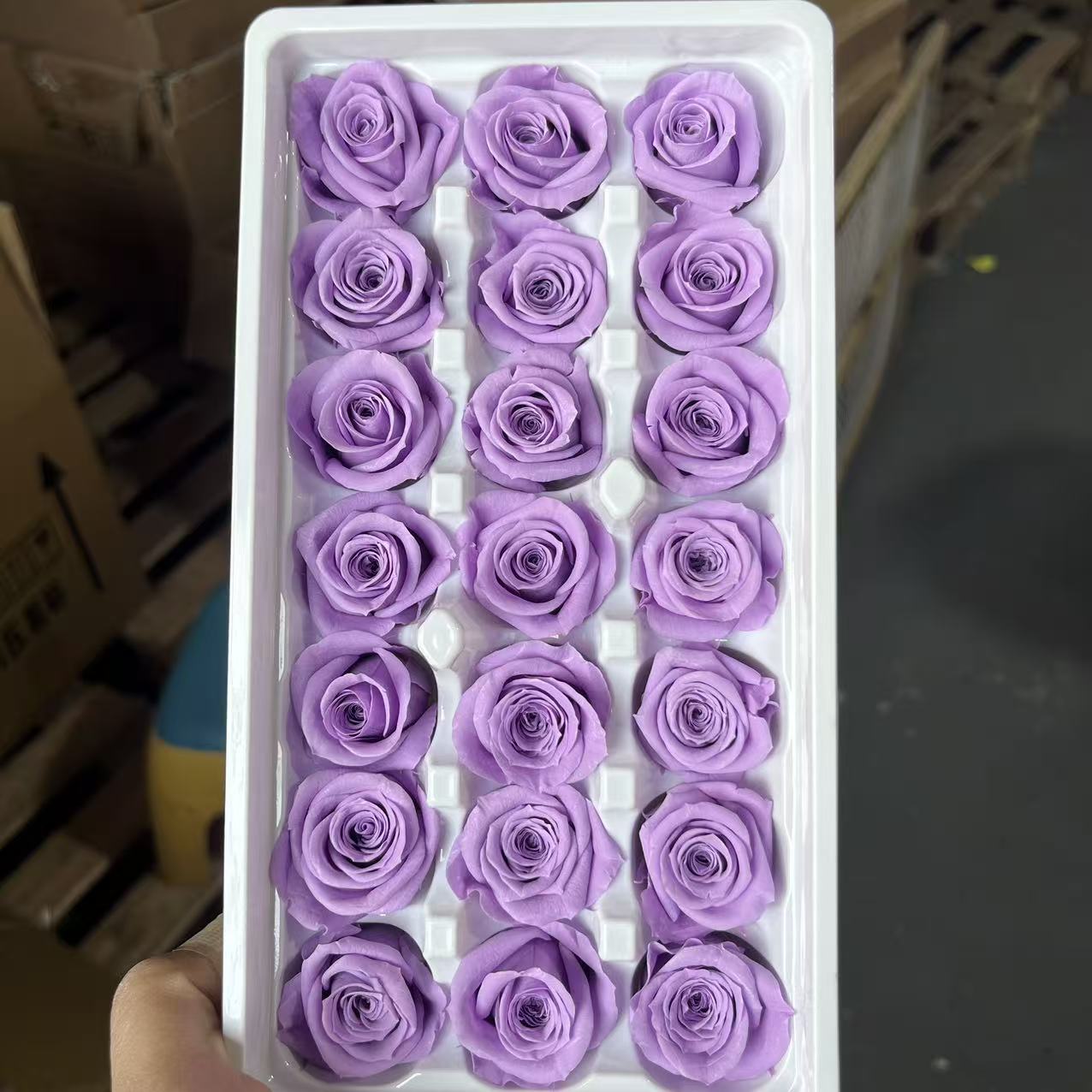 Grado B, morado, 2-3 cm/caja de 21 flores.