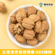 云南高山薄壳核桃散装 103核桃原味带壳核桃薄皮核桃干货坚果零食