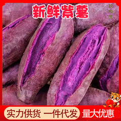 新鮮な紫芋 4.5kg 丸ごと箱農家サツマイモ卸売紫ハート栗サツマイモ 2.5kg 掘りたてのサツマイモ