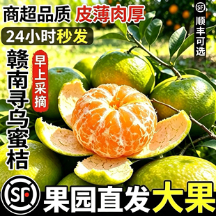 �����۽��ٸ�����Ƥ���r�o�ѷ���Ͻ���������������С�G�D����