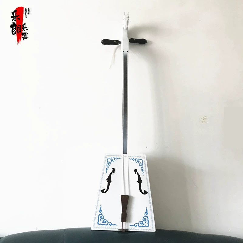Musical instruments, professional practice with accessories, for beginners, full set