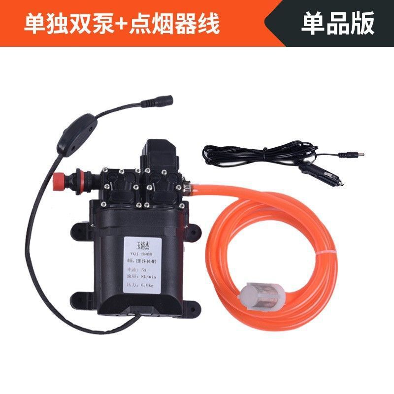 洗车家用高压智能洗车机车载12V水泵便携式两用双泵清洗水枪|undefined