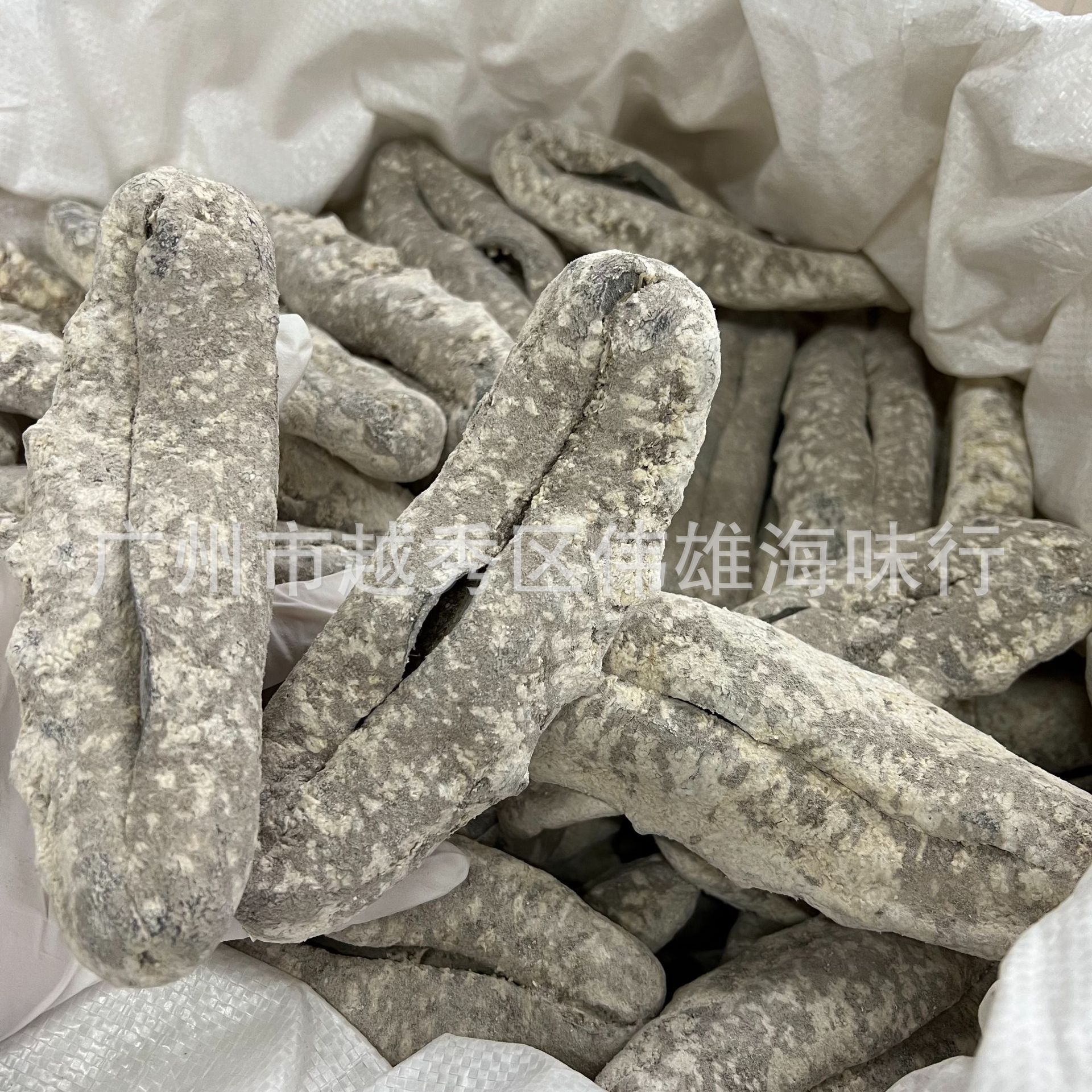 精选货黑猪婆参白猪婆参花猪婆参海参干货乌石参白石参批发500克