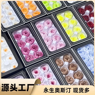 永生花奥斯汀玫瑰花8朵装10高级感礼品diy材料批发干花巧克力泡泡