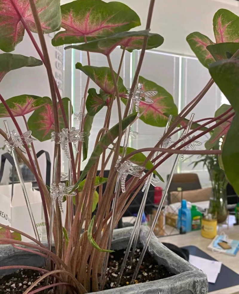 PC透明支撑杆 (3).jpg