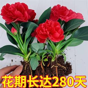 ��Ʒ��荾Gֲ�﹫�������҃��k�����ļ����������՚�͏d����