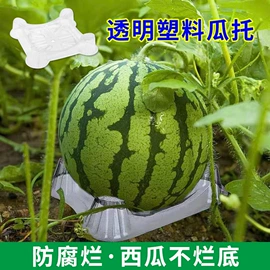 塑料盒;烘焙包装;种植包装