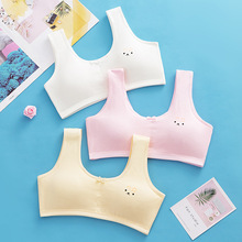 批发女童纯棉发育期少女内衣文胸青春期高中初中学生大童宽肩裹胸