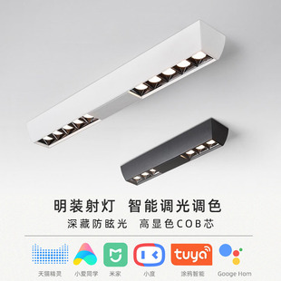 Ming-mounted spotlight anti-glare intelligent led strip linear lamp without main lamp living room lighting grille lamp without main lamp lighting
