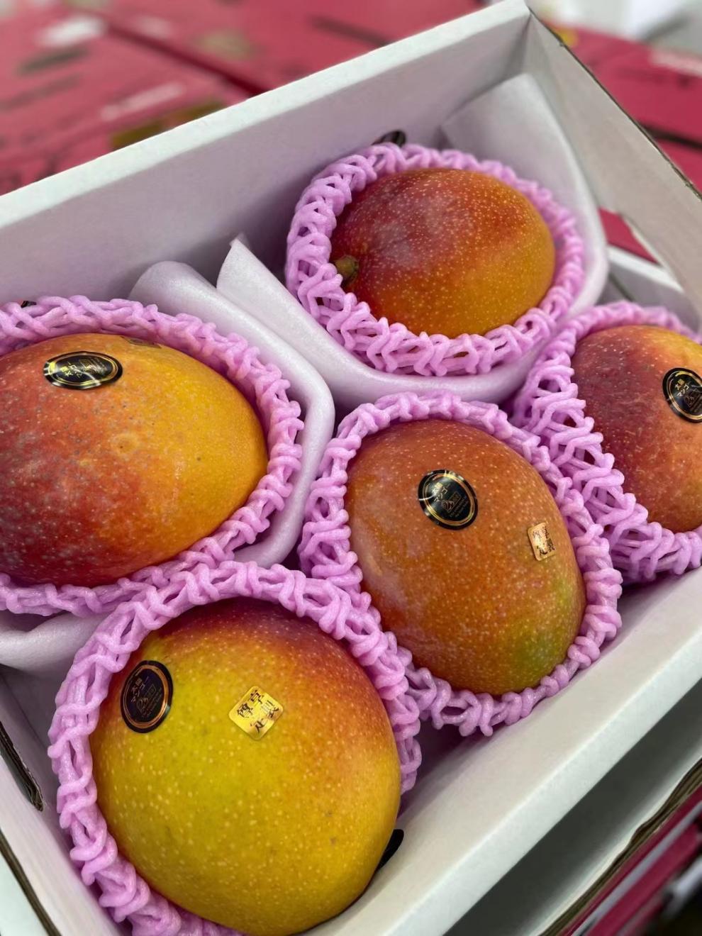 微信图片_20230708113949.jpg?x-oss-process=image/format,png