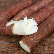 �ؿh�����F��ɽș���Ͻ�����ɽș���a�a�F�U��ɽș���r��Ŵ