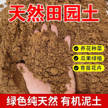 菜园土纯正天然田园土种植土土壤通用型种花土种菜土黄泥土角蛙土