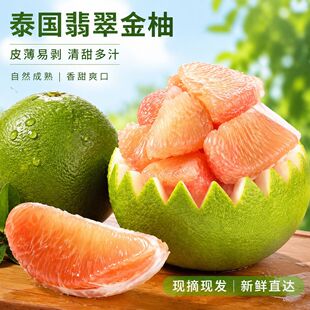 ̩����������r��Ƥ�t�������������]��Ƥ�t�������l���۴��l
