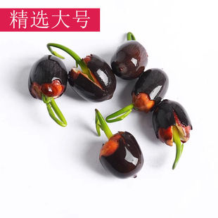 (5��lѿ)��ɏ�N��ˮ�B�ļ��_��ˮ��Gֲ�ɻ�˯ɏ��ֲ���҃Ȼ���