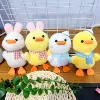 Couple duck (single price}
