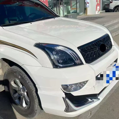 Old Model Prado – Zhongwang