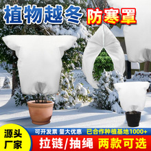 ֲ������� ������ �羳���R�d�Gֲ���Ի��ܹ��䶬���o����������