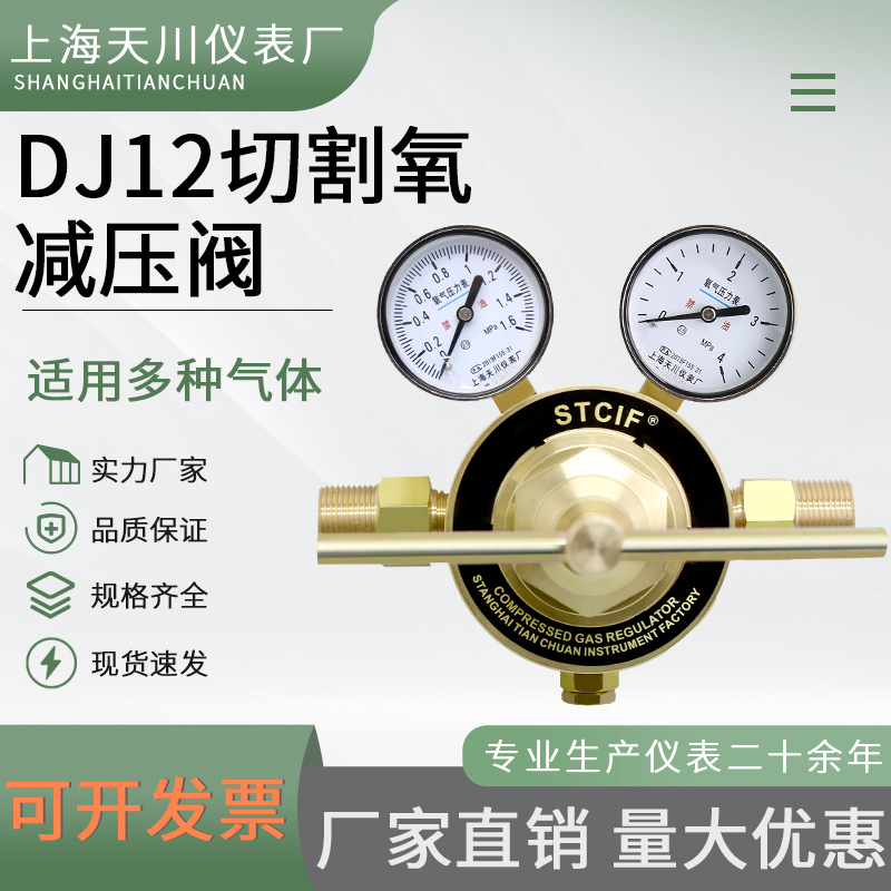 切割氧减压阀DJ12(OXY)燃气减压阀（GAS)气体全铜管道高压减压阀