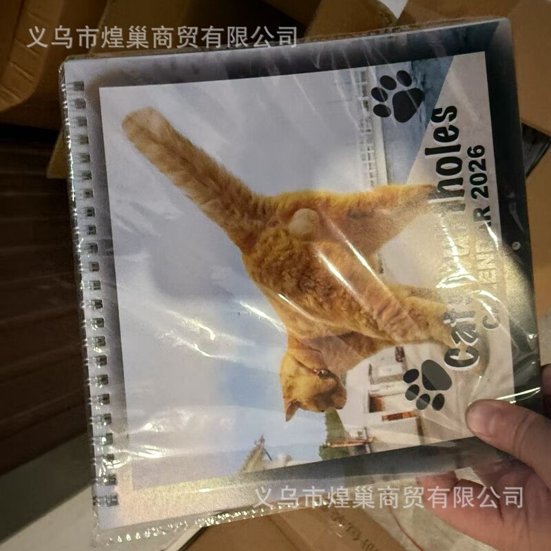 2026年新款跨境爆款亚马逊英文高地牛猫咪狗日历挂历台历厂家批发|undefined