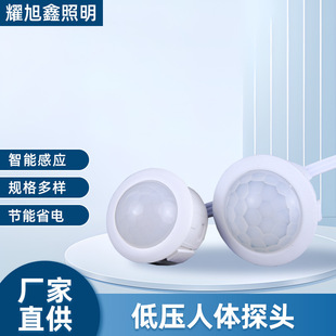 Low voltage human body probe infrared human body induction switch microwave radar induction parking lot corridor intelligent induction light
