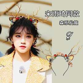 圣诞节装饰品表演头饰鹿角发卡儿童发光头箍成人装扮发箍