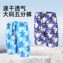 中长五分游泳裤男士椰子树印花泳裤温泉度假沙滩裤加大码抽绳裤子