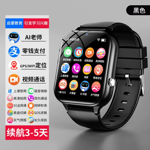 Standard Black+Transport+Alipay+Video calls+GPS/WiFi positioning+Chinese Music+AI Q&A