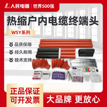 ����WSY-35KV����s��|�K���^����о�����и߉��^���׹ܸ���