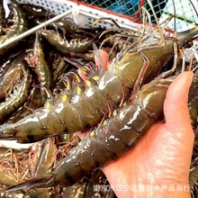 �����ڻ��r����̖�ϻ��r���Ʒ��������r�����r���ß������r���