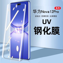 nova12pro钢化膜高清防蓝光磨砂防偷窥手机膜novo12ultraUV钢化膜