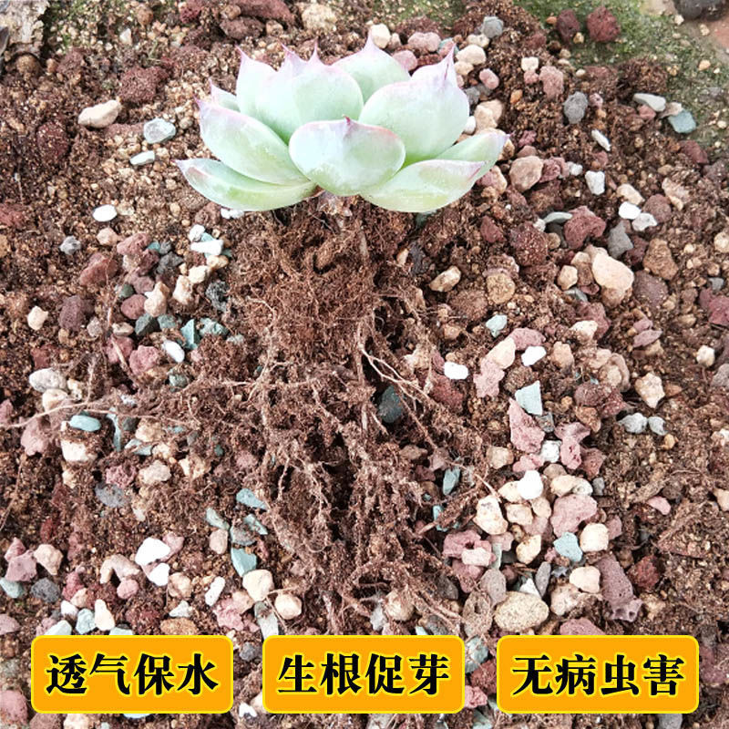 5c481a6f-e104-4ccd-9a37-dc670ffbeea6.jpe