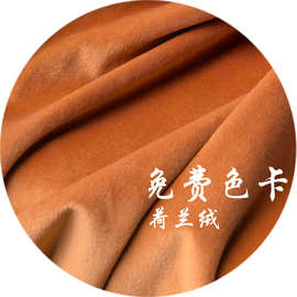 现货加厚荷兰绒天鹅绒水晶 丽丝绒面料 服装家纺