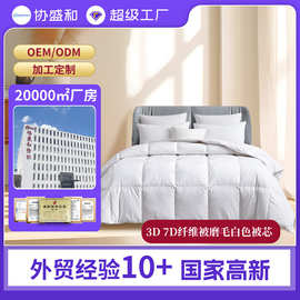 出口欧美绗缝被芯亚马逊热销超软超纤维被子轻质酒店磨毛批发被芯