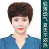 Wig Jurchen Headgear Middle and old age mom texture Short hair Headgear Hair ventilation Xuchang Wig