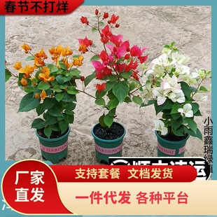 һ�����l��S���]����÷���Ԏ����l؛�G���ļ��_���ذ�t�����Ϙ�