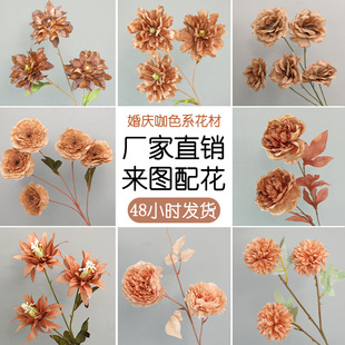 ����ɫϵ��c���滨��Y���b�ˇ���ϻ���픻�Y���Ŀ�ɫ�ٻ�