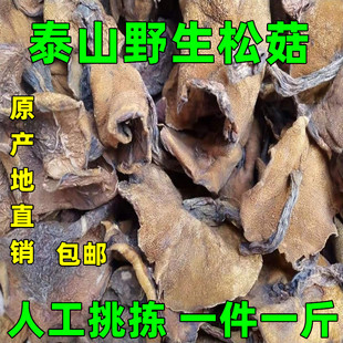 ɽ�|�خaҰ����Ģ����؛���rճ����С�㹽�ɹ����uĢ��ɽݭ�Ӱ��]