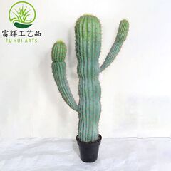 Tropical Desert Simulation Cactus Flower Cactus Green Plant Pot Plant Arrangement Landscape Plant Prop Ornament Wholesale