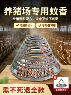�B�i���������㏊�����������������Bֳ�Bֳ����Ч���nω