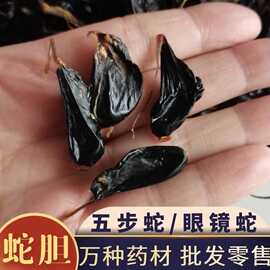 5粒装五步蛇胆眼镜王蛇胆武夷山人工养殖蕲蛇胆干1克
