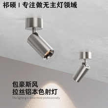 明装包豪斯射灯可调角度极简中古风不锈钢电镀led家用防眩COB射灯