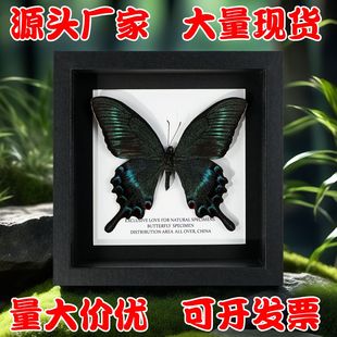 ������˱����YƷ�[���쮋�b��������նY�ﾰ�^���u���x�˱�