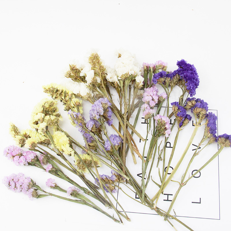 Lover's Grass Never Forget Me DIY Aromatherapy Candle Dry Flower Materials Aromatherapy Wax Sheet Everlasting Dry Flowers Photo Frame Loose Flower Materials