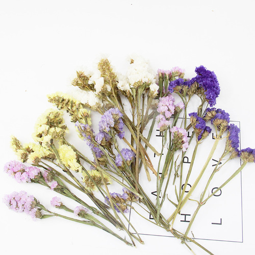Lover's Grass Never Forget Me DIY Aromatherapy Candle Dry Flower Materials Aromatherapy Wax Sheet Everlasting Dry Flowers Photo Frame Loose Flower Materials